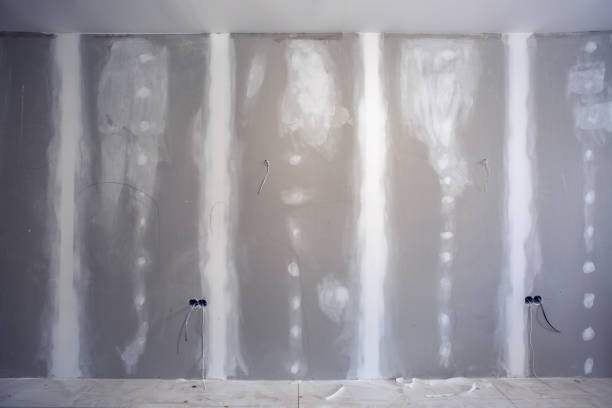 Best Black Mold Removal  in Lakeview Estates, GA